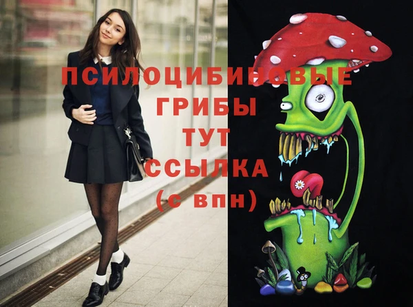 экстази Краснослободск