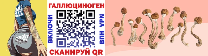 Галлюциногенные грибы прущие грибы  Купить где  Руза 
